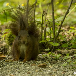 Parc de Sainte Croix