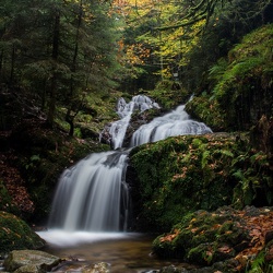 Hautes Vosges 10/17