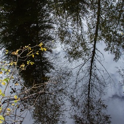 Hautes Vosges 10/17
