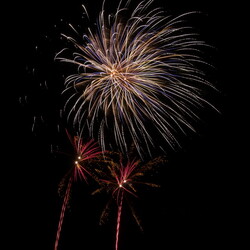 Bains Les Bains 2018