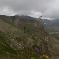 IMG 1207-Panorama-1