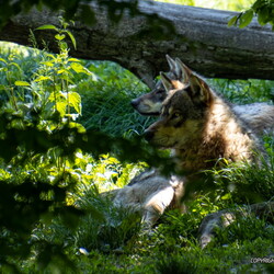 Parc de Sainte Croix 2021