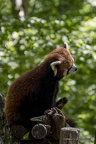 IMG 3831-CR3 DxO DeepPRIME