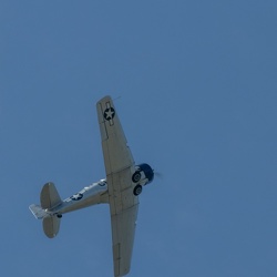 Meeting BA 116 2021