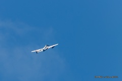 IMG 6315