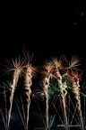 IMG 4650