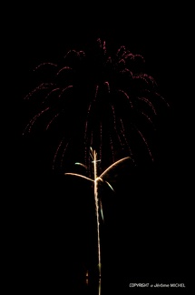 IMG 4016-1