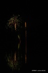 IMG 4053-1