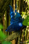 IMG 7156-1