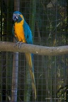IMG 7840-1