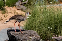 IMG 7915-1