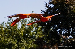 IMG 8097-1