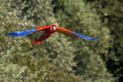 IMG 8099-1