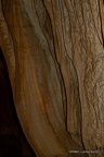 IMG 8188-1