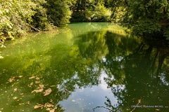 IMG 8557-HDR-1