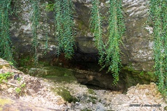 IMG 6711-1