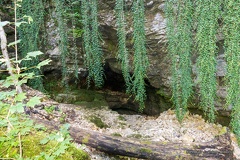 IMG 6715-1