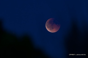 IMG 0476-Avec accentuation-Bruit-1