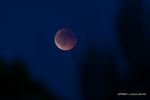 IMG 0478-Avec accentuation-Bruit-1